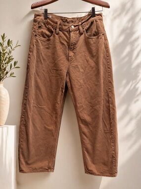 GAP High Rise Barrel Leg Jeans | Size 8 Petite | Warm Brown | Trendy Fit